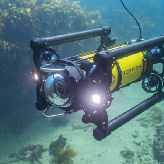 Boxfish ROV Underwater - Lights On