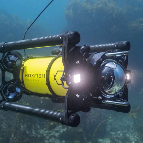 Boxfish ROV Underwater - Lights on