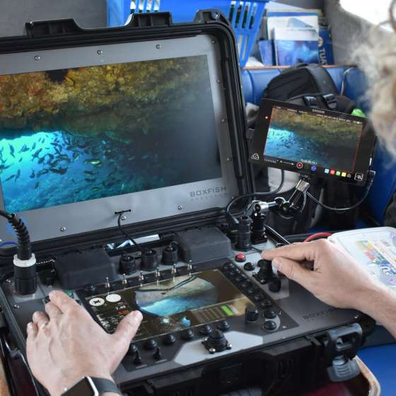 Boxfish ROV Control Console with Fish on Display