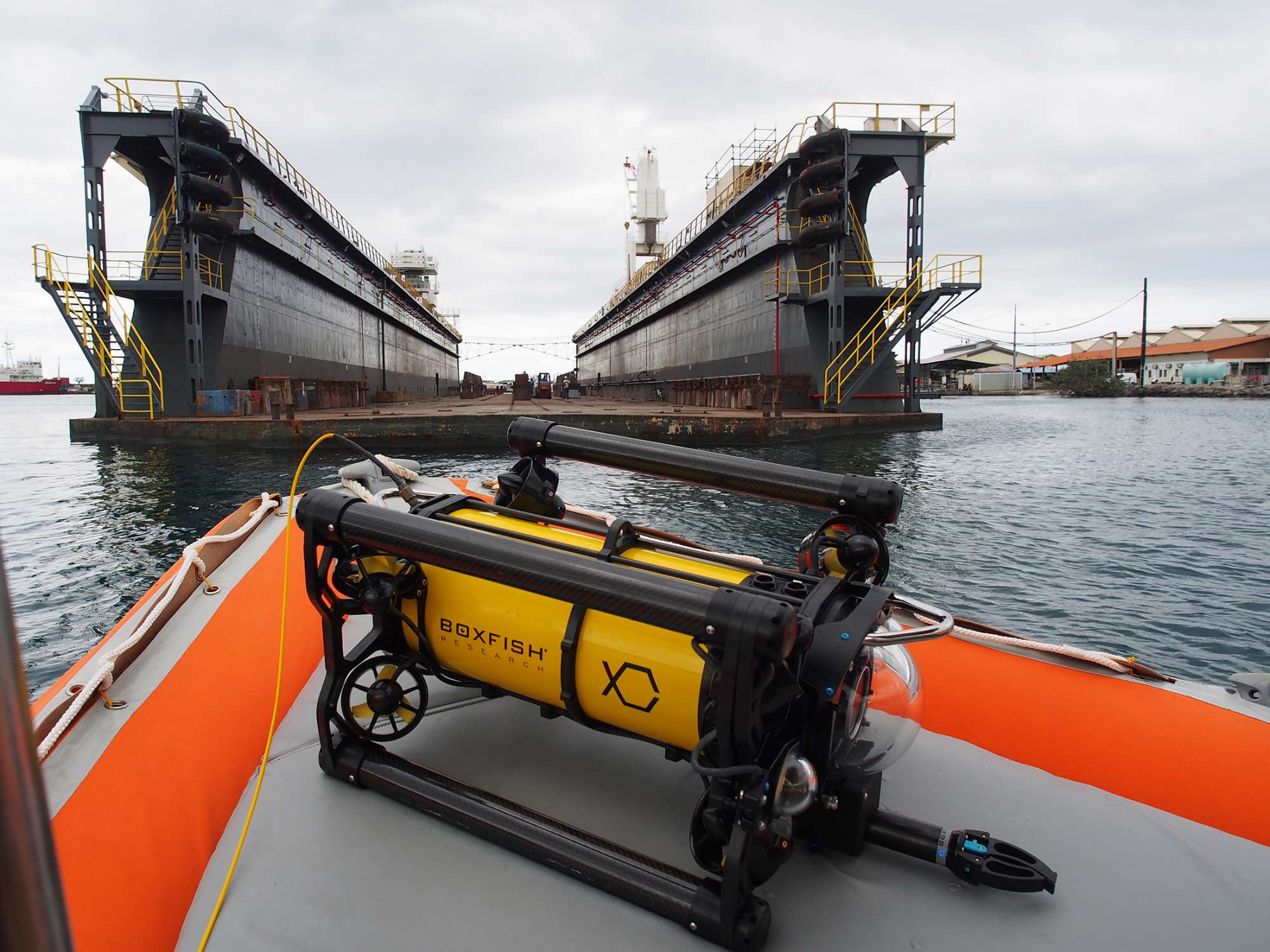 Boxfish biosecurity, and search and rescue ROV in action