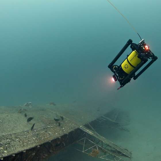 Boxfish ROV Uncovers Remains of Chinese Goldminers