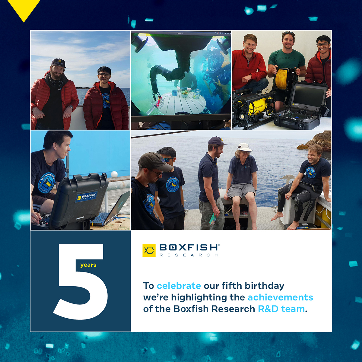 Celebrating five years of Boxfish Research