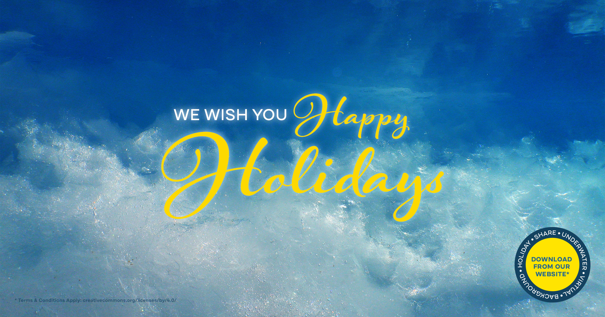 We wish you Happy Holidays! Download our digital holiday share - underwater screen backgrounds.