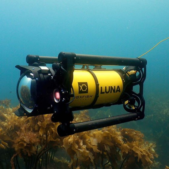 Boxfish Luna 8K Drone Underwater Close-up