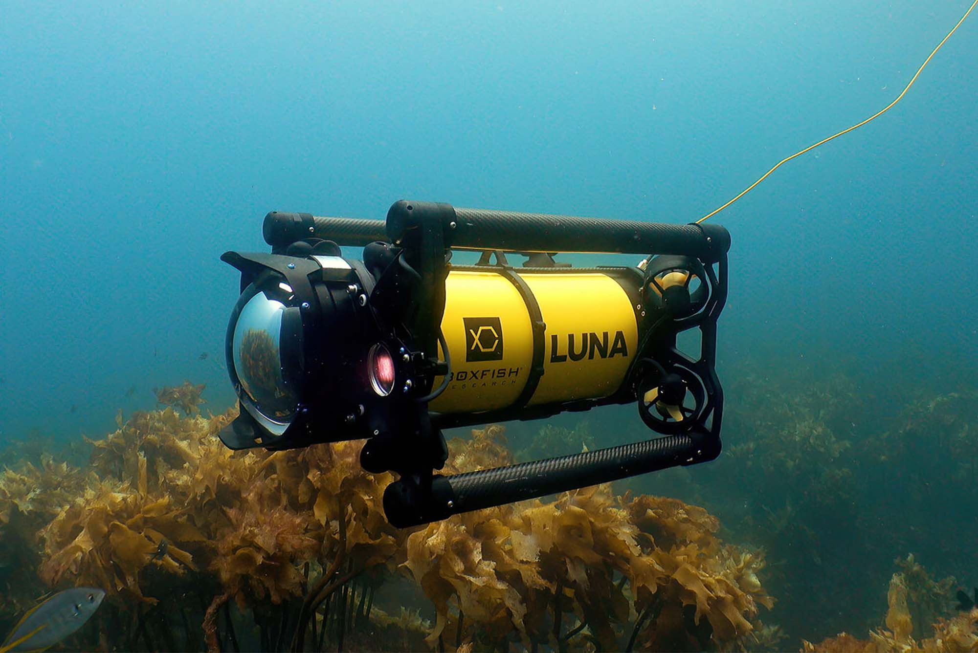 Cutting-Edge ROV Development - Boxfish Luna 8K Drone Underwater Close-up