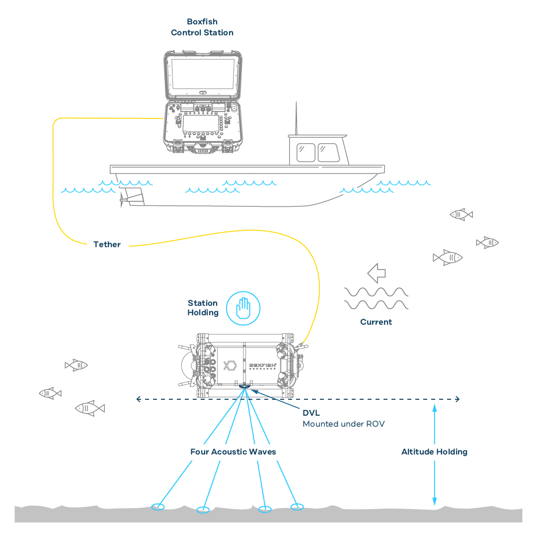 Diagram Showing How ROV DVL Works With A Boxfish ROV
