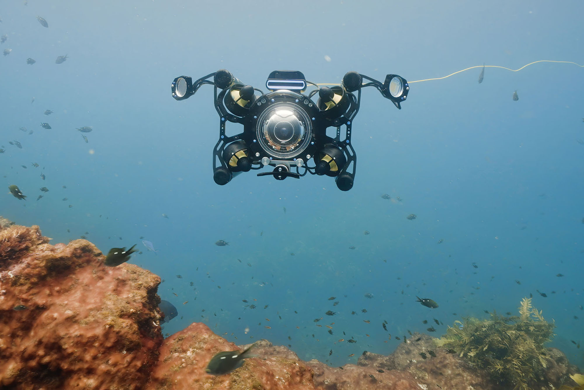 Boxfish ROV in action underwater