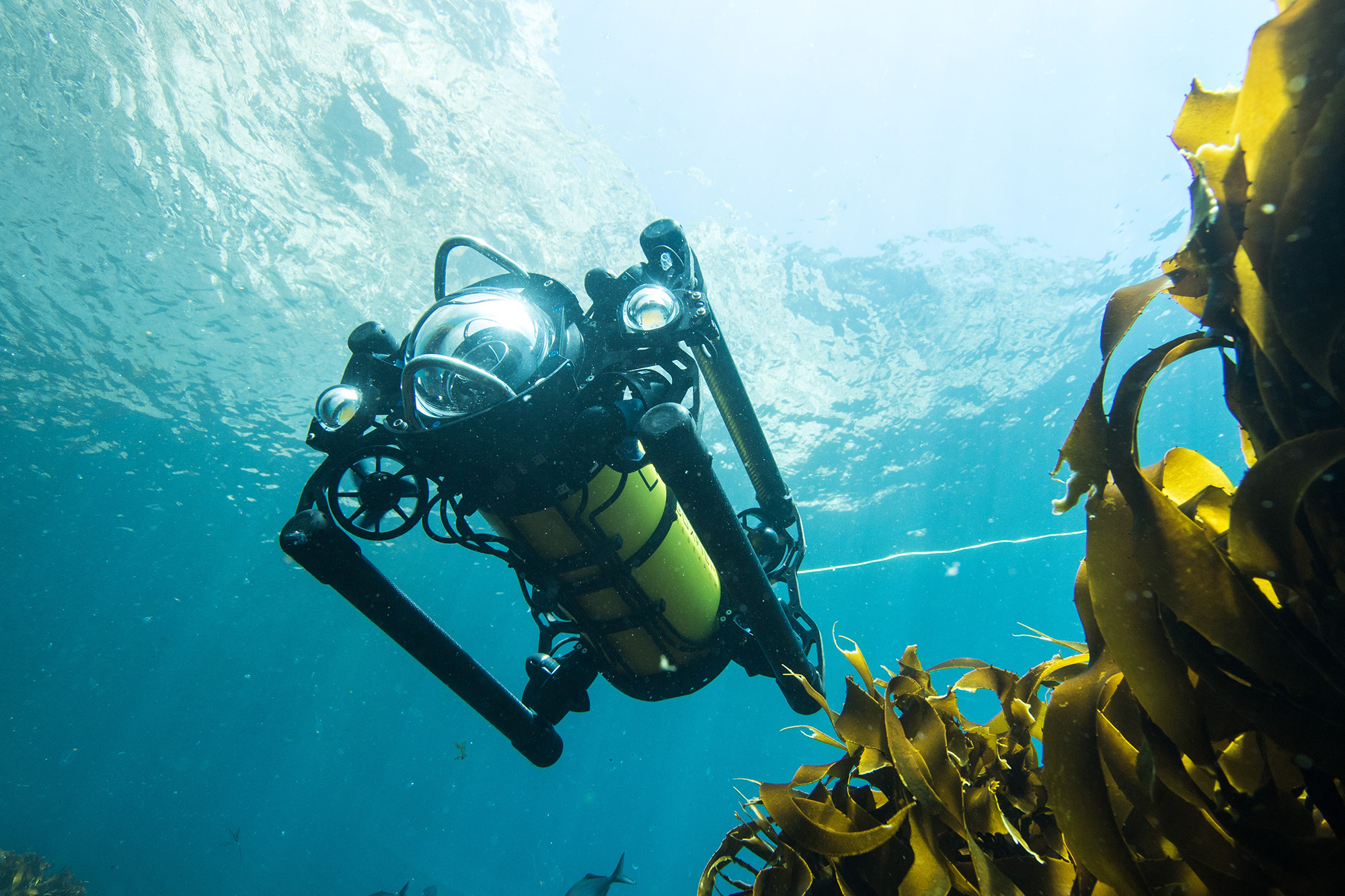 Upgrade Your Boxfish to an Autonomous ROV in the Future