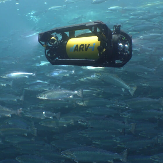 Resident Autonomous Underwater Vehicle for Aquaculture
