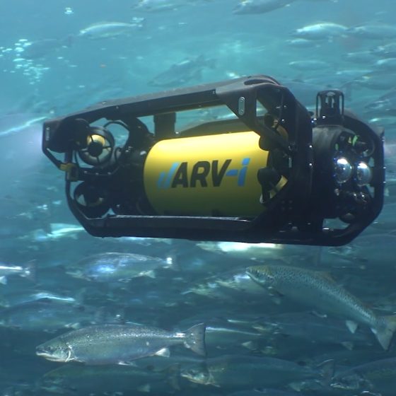 Resident Autonomous Underwater Vehicle for Aquaculture inside the Net