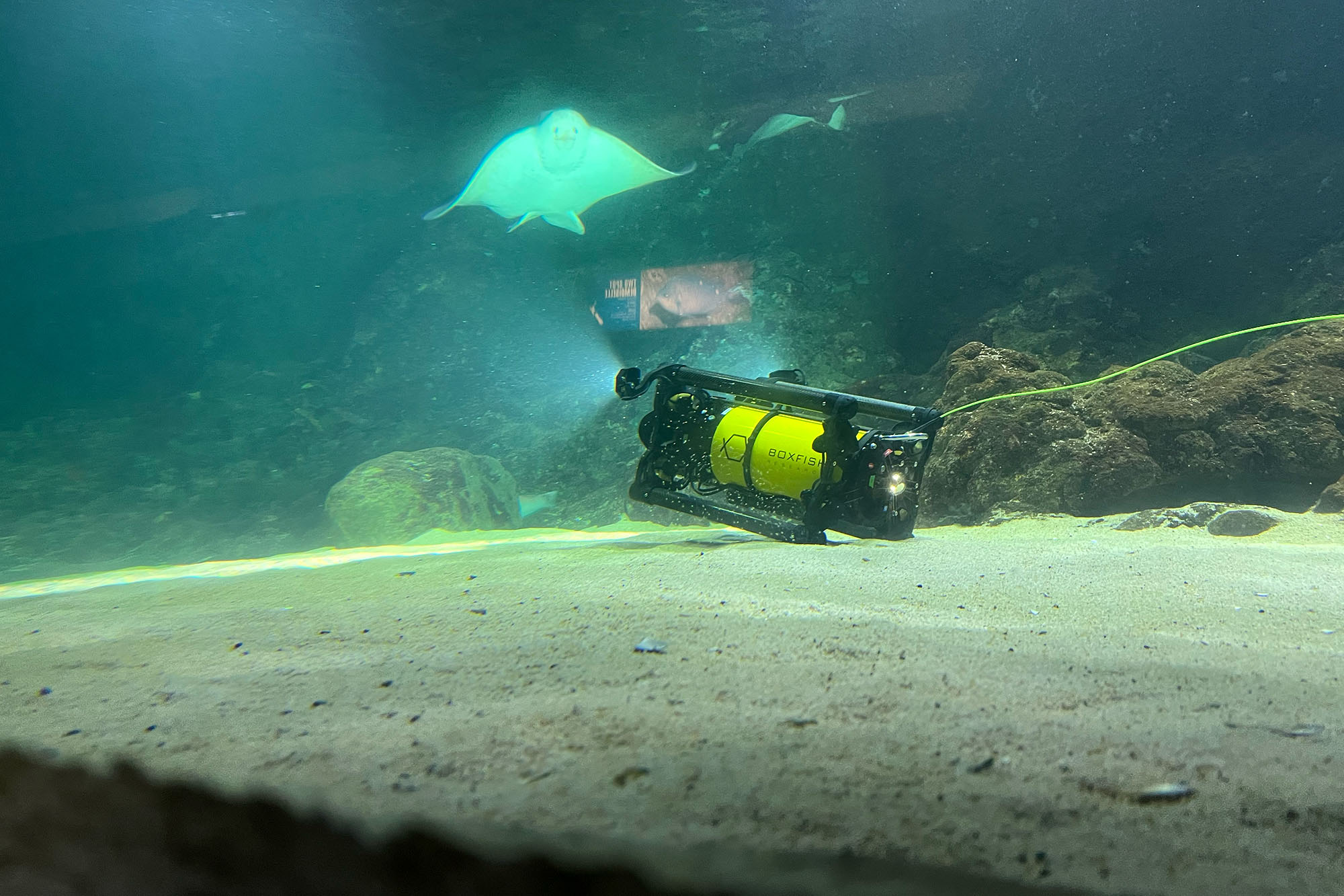 Boxfish Luna Underwater Drone for Ocean Cinematography