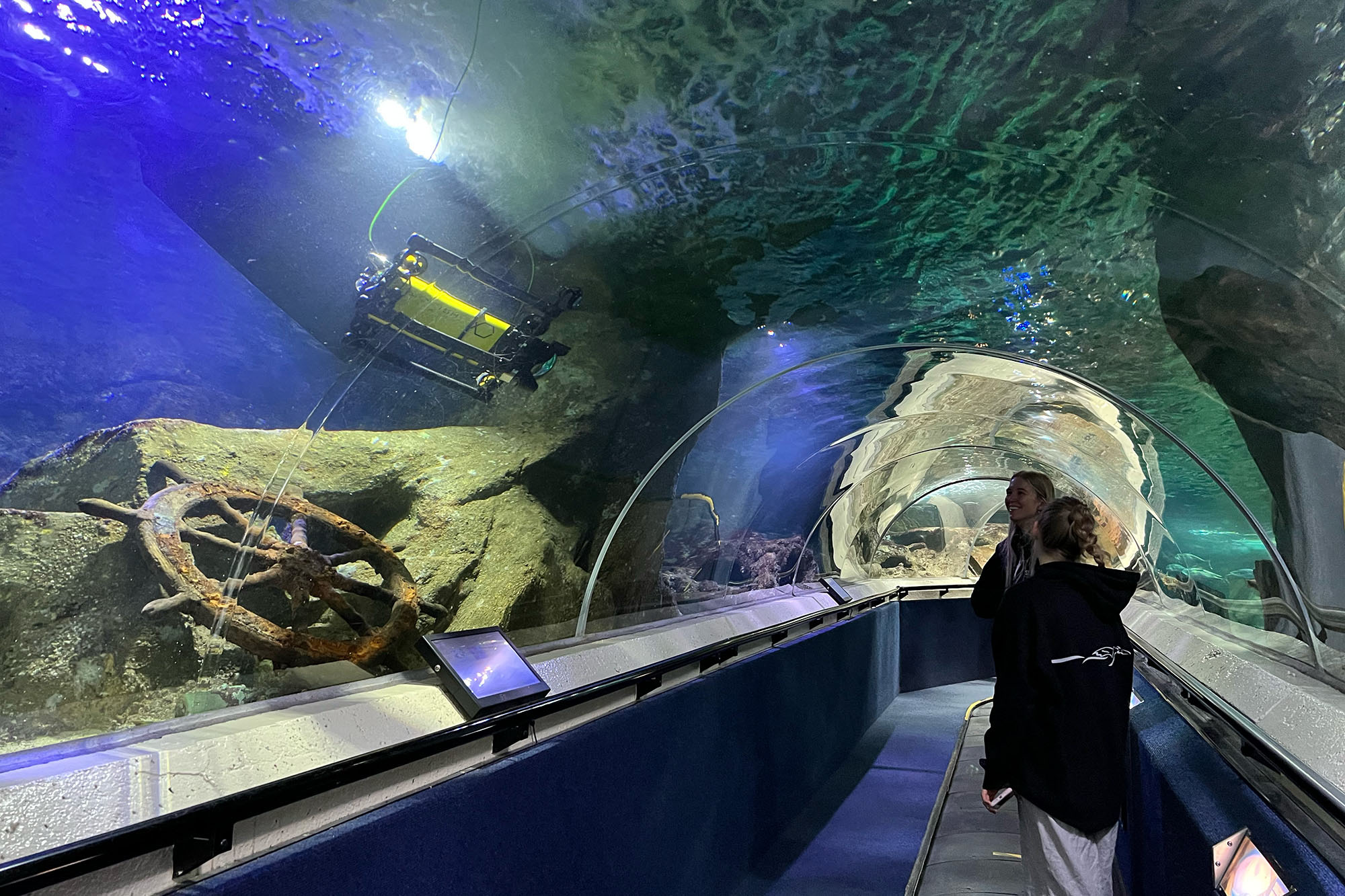 Underwater Cinematography Drone at Kelly Tarlton's Sealife Aquarium