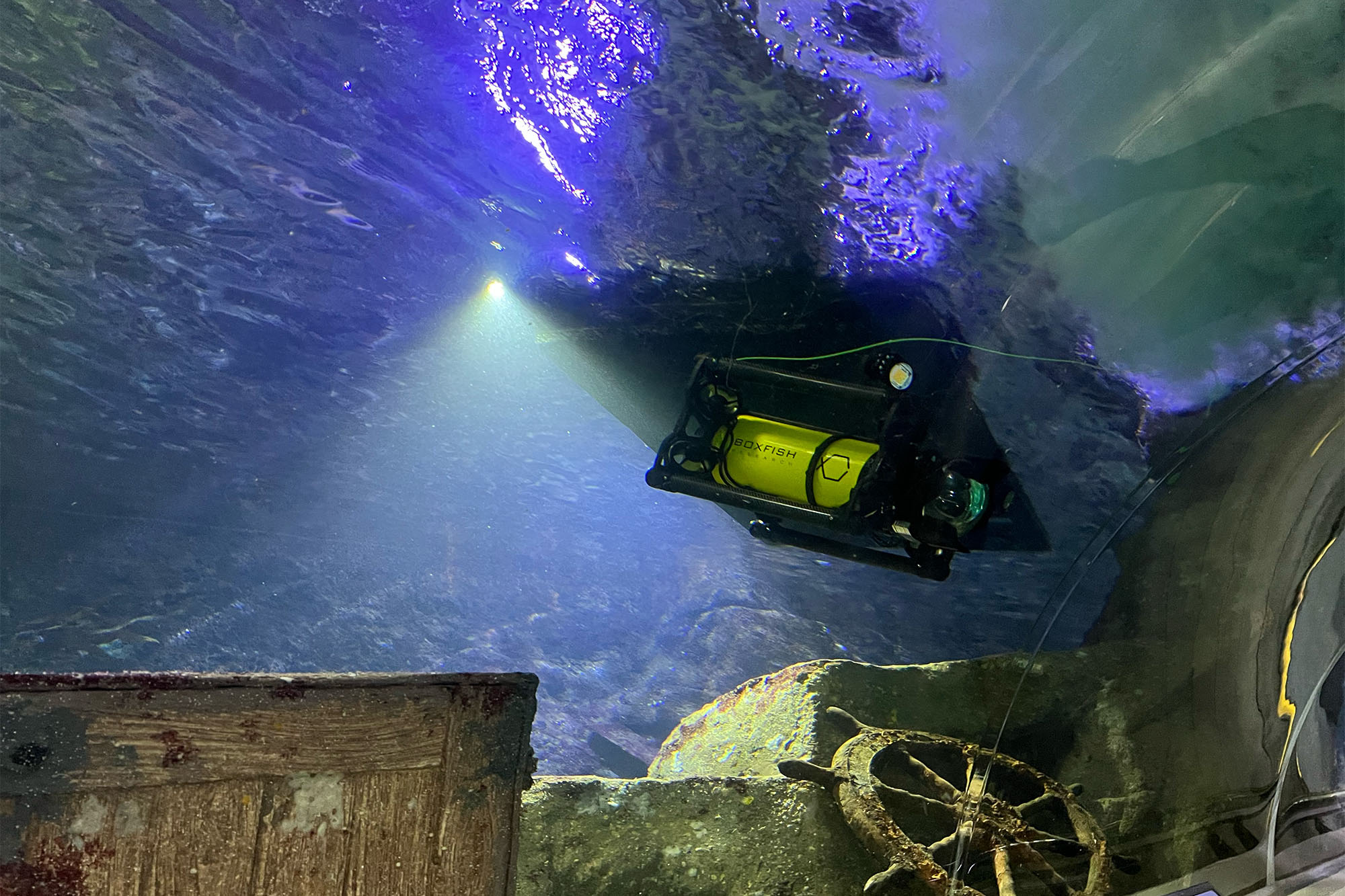 Underwater Filmmaking Drone Filming Sealife